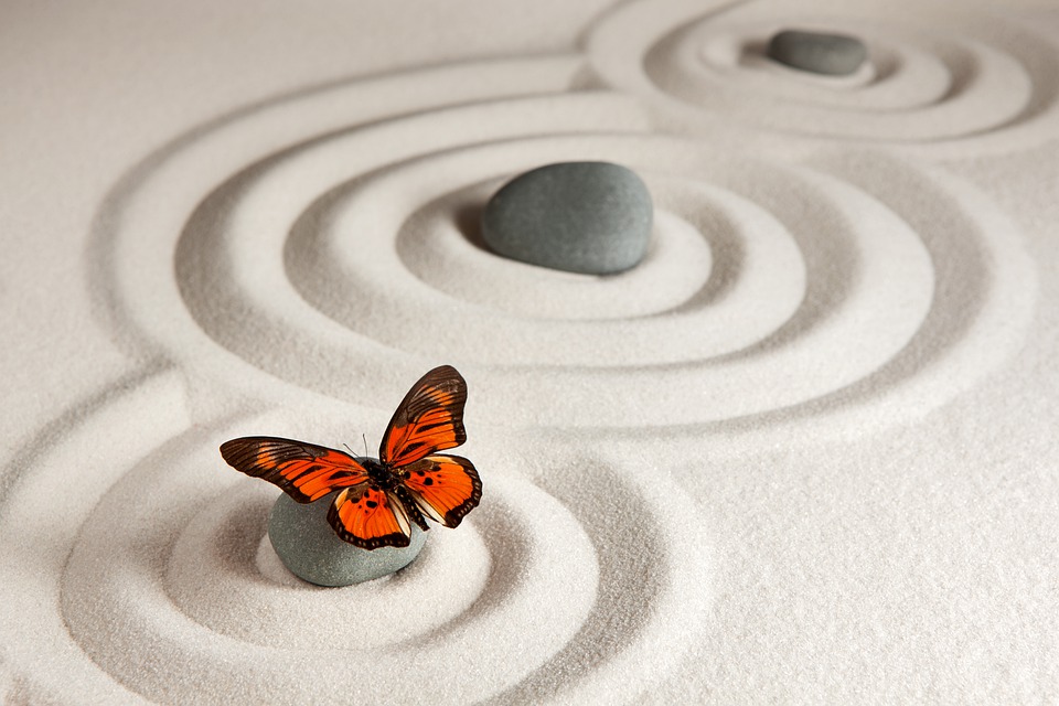 zen_ spirituality_butterfly_nature